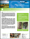 scrap and recycling brochure
